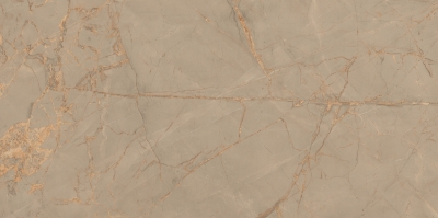 Attēls Keramikas granīta flīzes Golden Web Brown Glossy 60x120