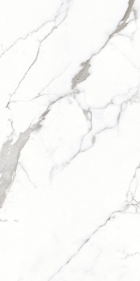 Attēls Keramikas granīta flīzes CV Venatino Grey Carving 60x120